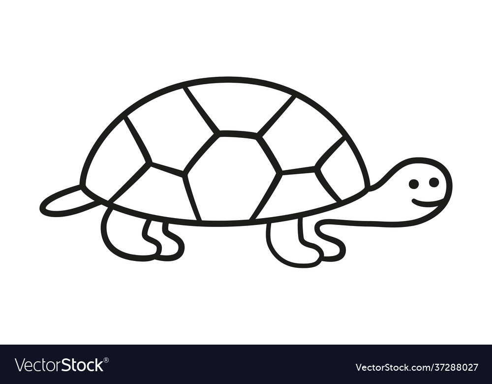 Turtle hand drawn outline doodle icon isolated Vector Image