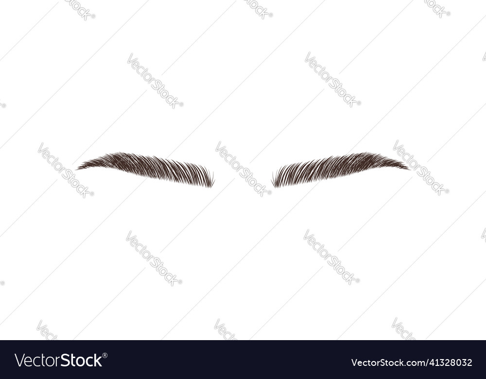 Sable style eyebrows permanent make-up