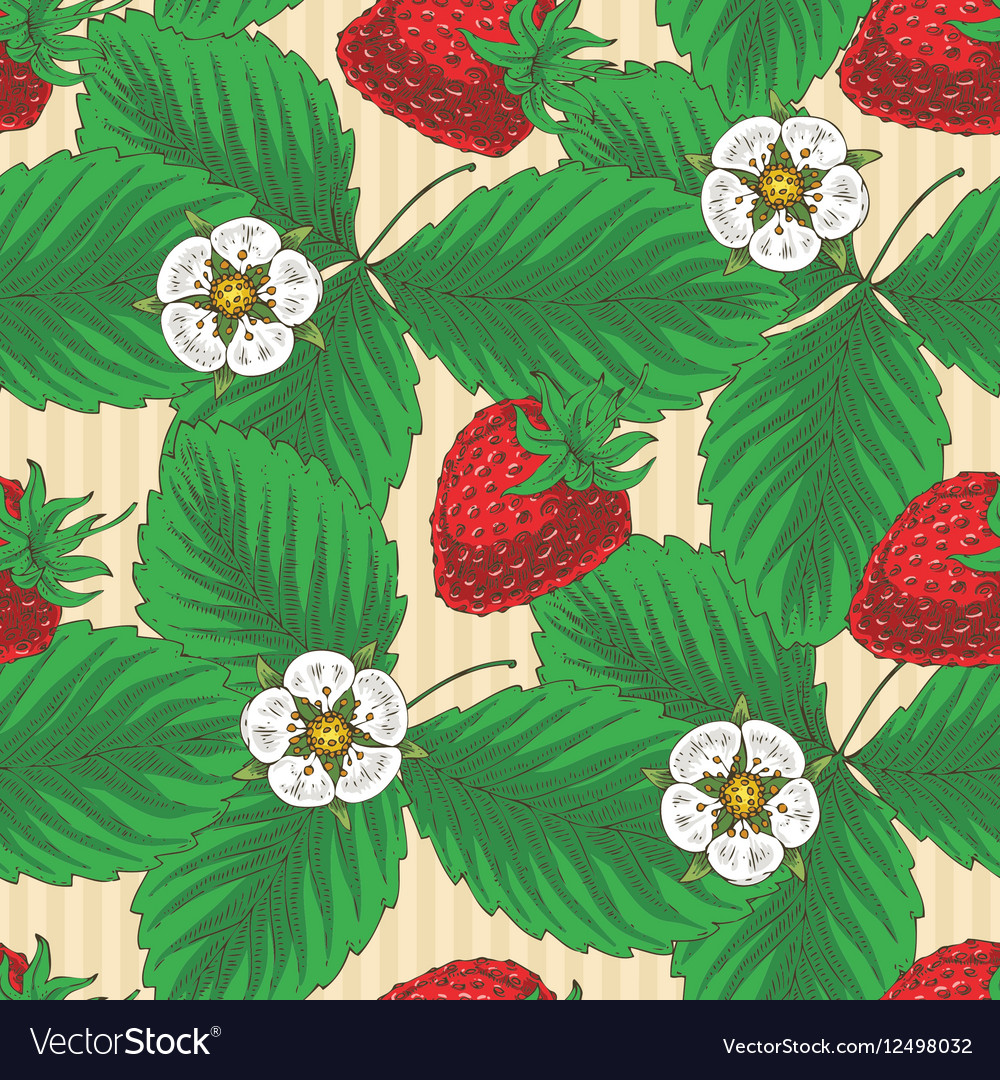 Seamless pattern with strawberry