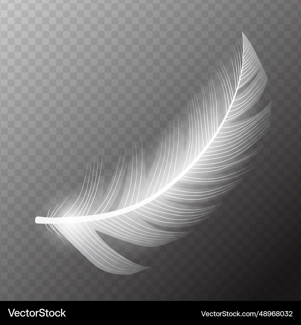 White flying feather Royalty Free Vector Image