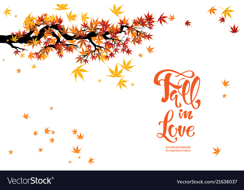 Autumn Maple Leaves Background