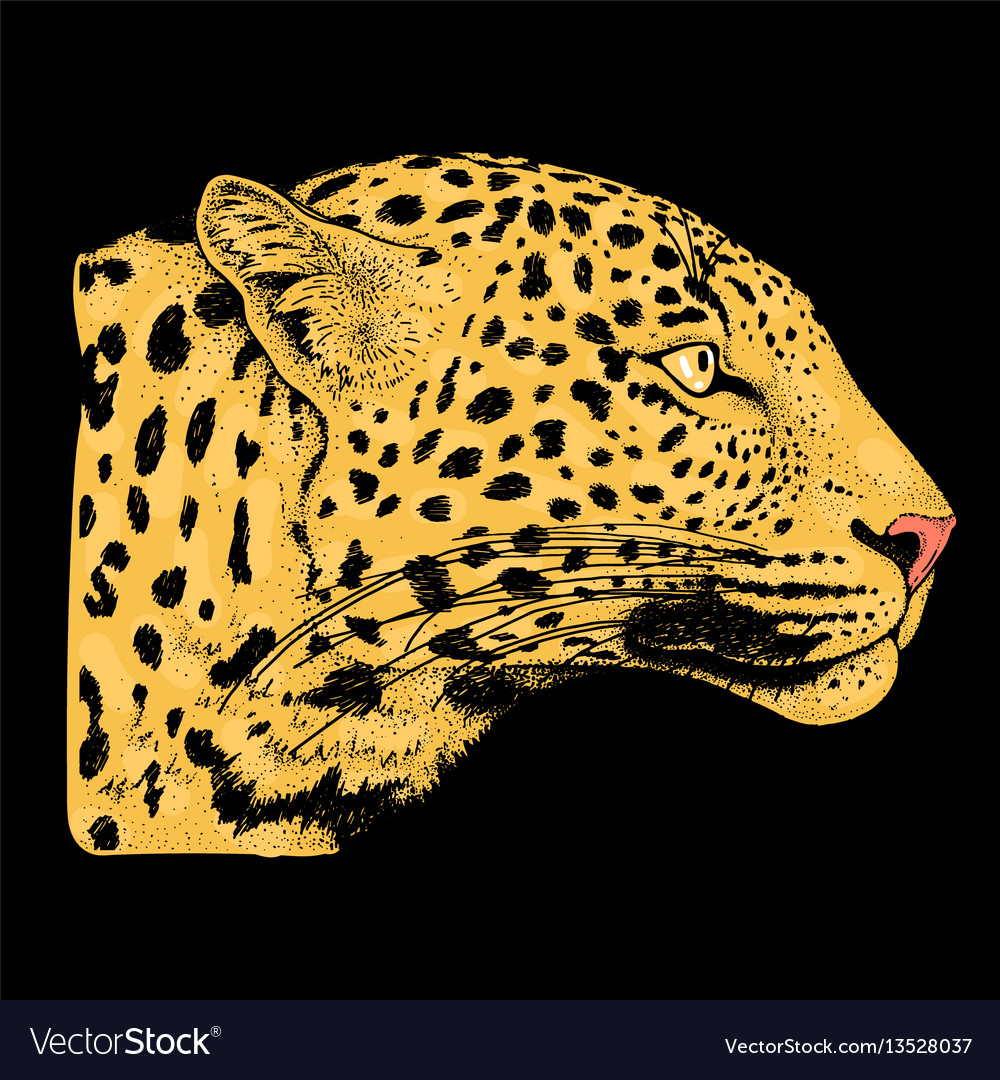 Leopard Face Print