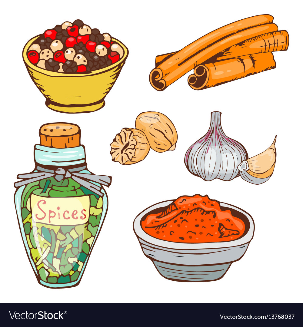 Spices seasoning hand drawn style food herbs