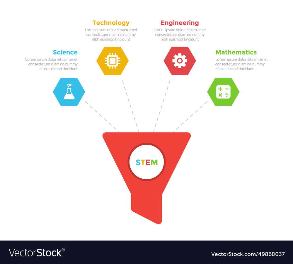 Stem education infographics template diagram Vector Image