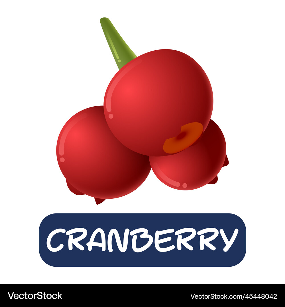 Cartoon cranberry fruit isolated on white Vector Image