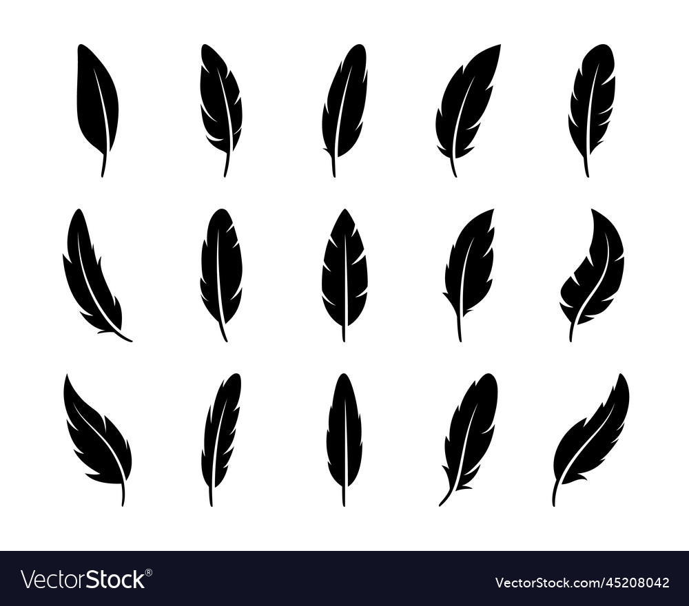 Fluffy feather silhouette icon set isolated Vector Image