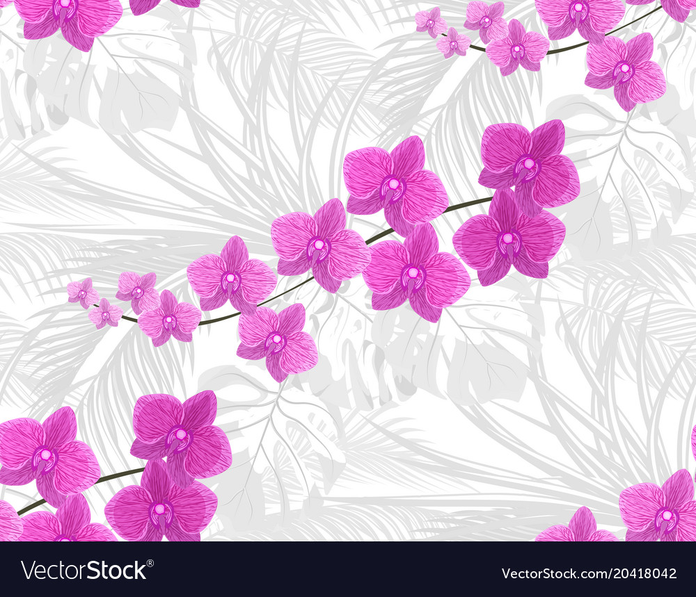Jungle purple orchids against the background Vector Image