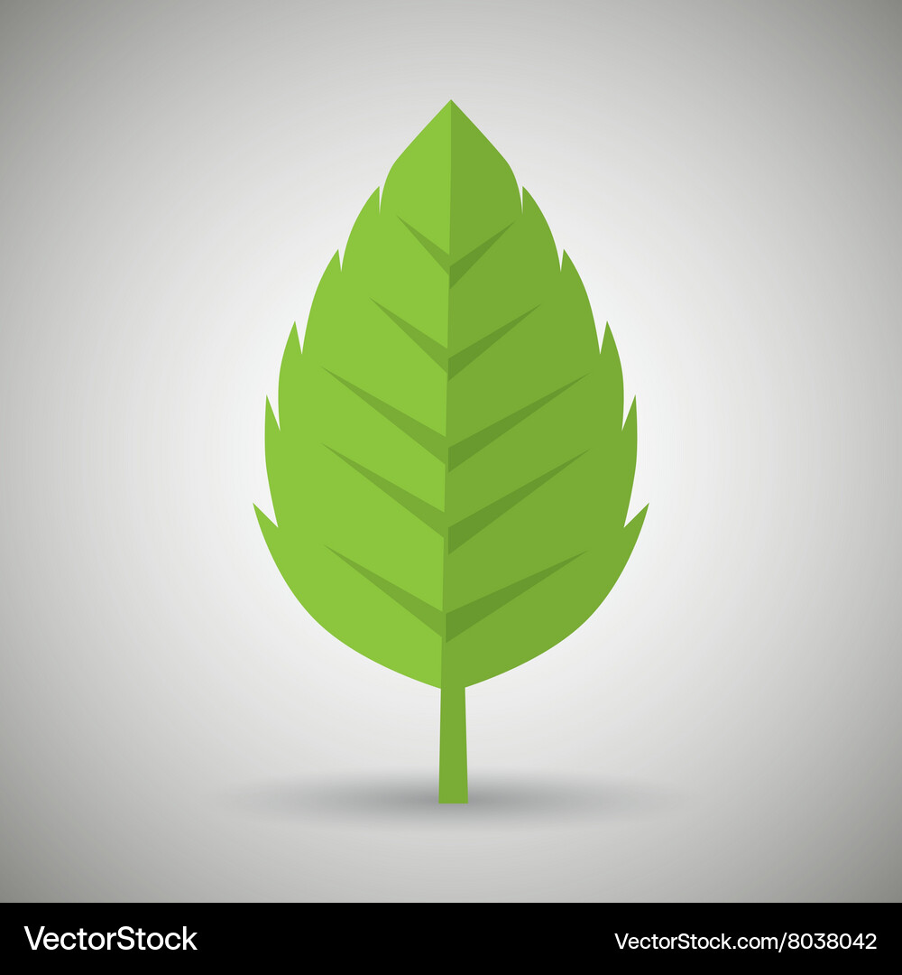 Leaf icon design Royalty Free Vector Image - VectorStock