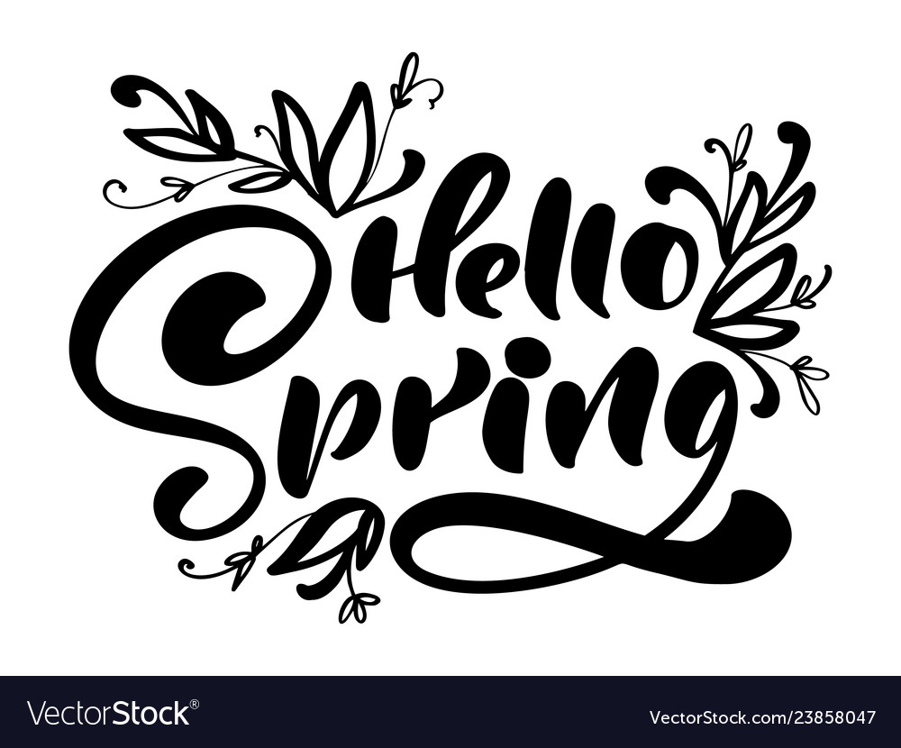 Calligraphy lettering phrase hello spring Vector Image