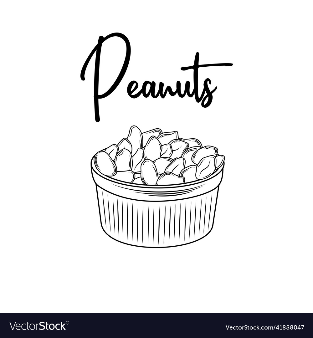 Hand drawn peanuts for template label Royalty Free Vector