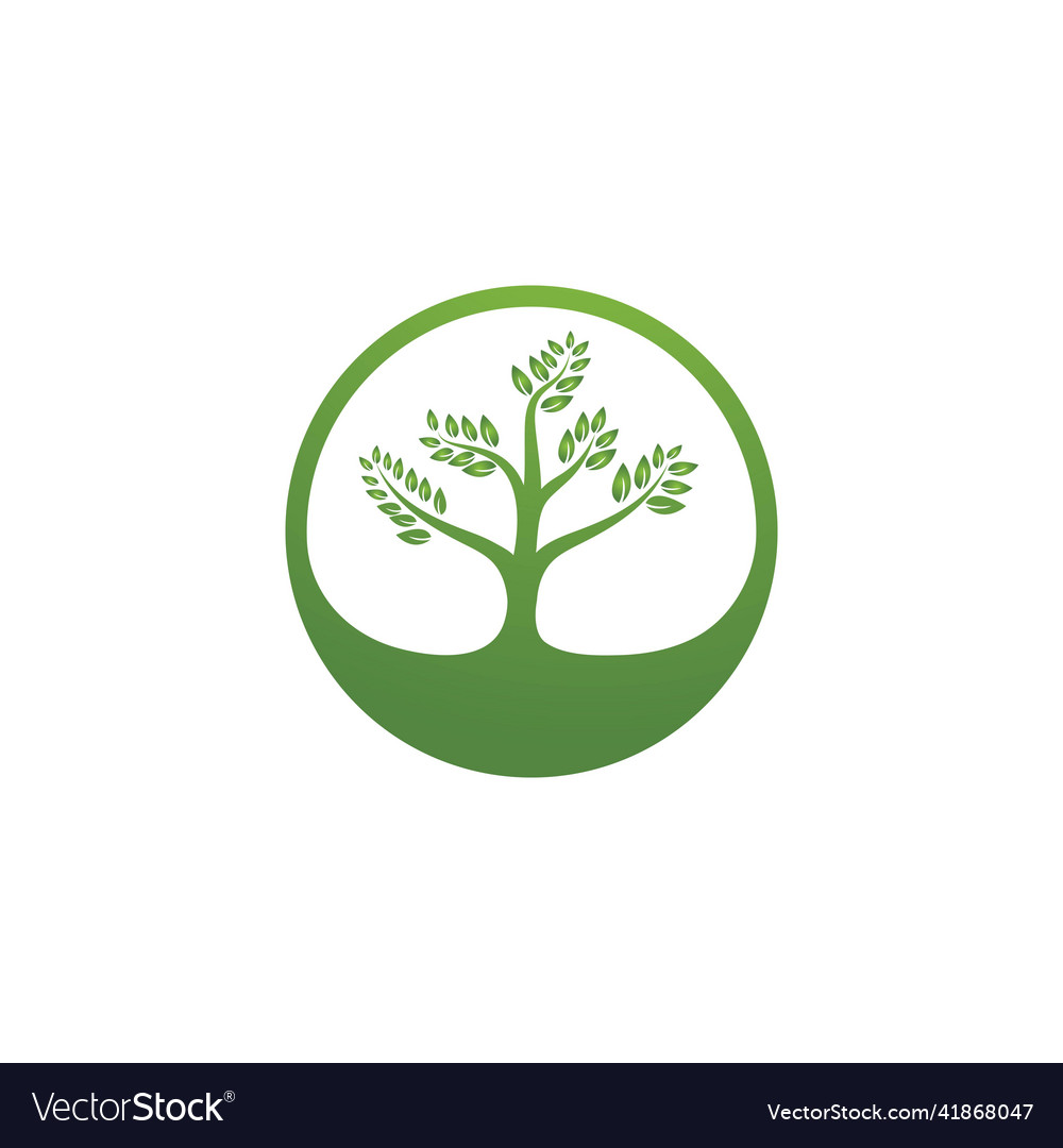 Tree logo template Royalty Free Vector Image - VectorStock