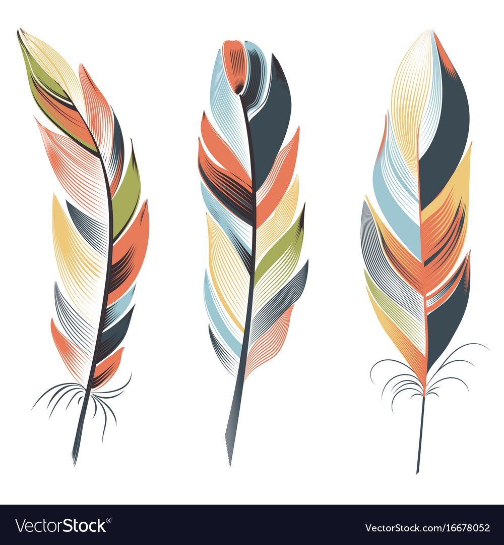 Colorful Feather Pattern
