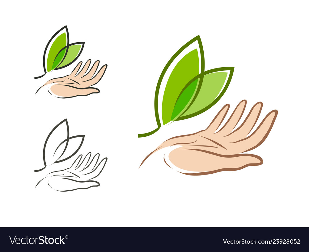 Ecology environment logo natural or organic Vector Image