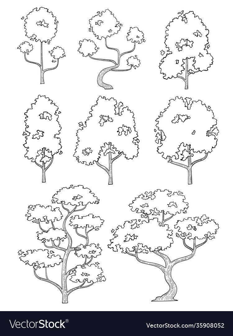 Hand drawn side view tree set