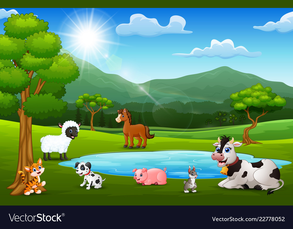 Happy animals farm playing next to small ponds wit Happy animals farm playing next to small ponds wit