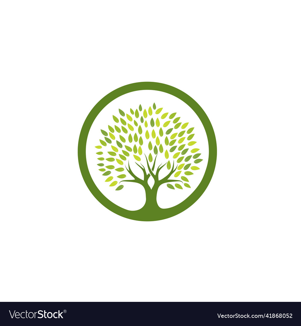 Tree logo template Royalty Free Vector Image - VectorStock