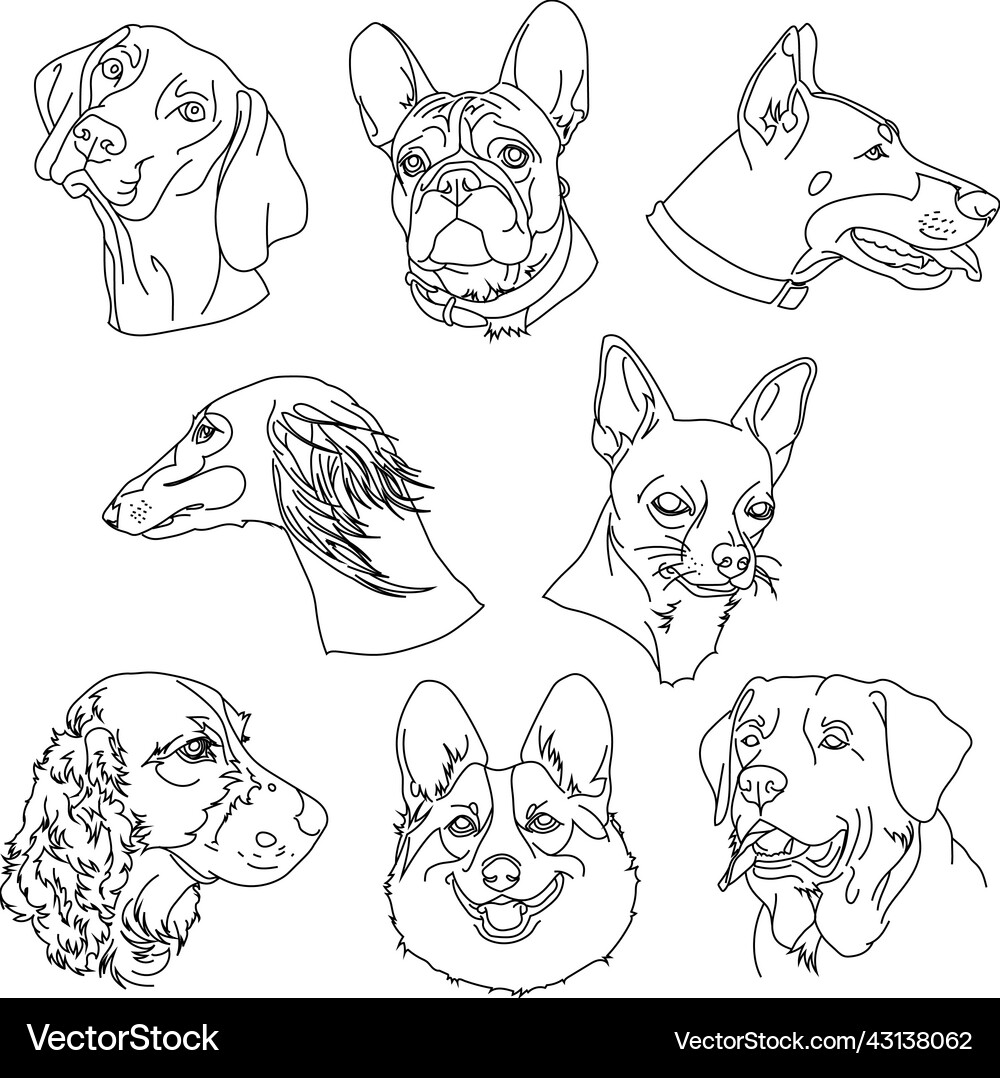Dogs Royalty Free Vector Image - VectorStock