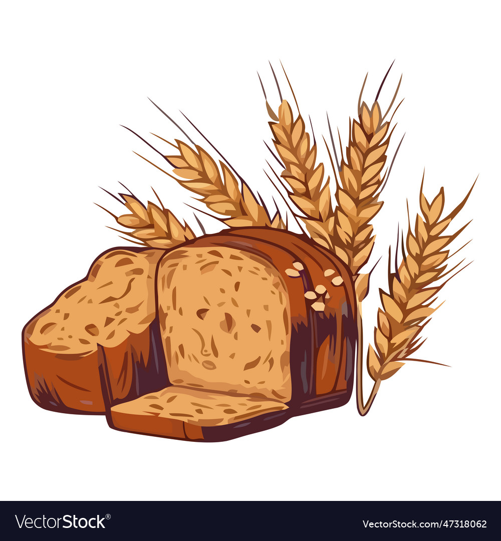 Organic wheat harvested for fresh baked bread