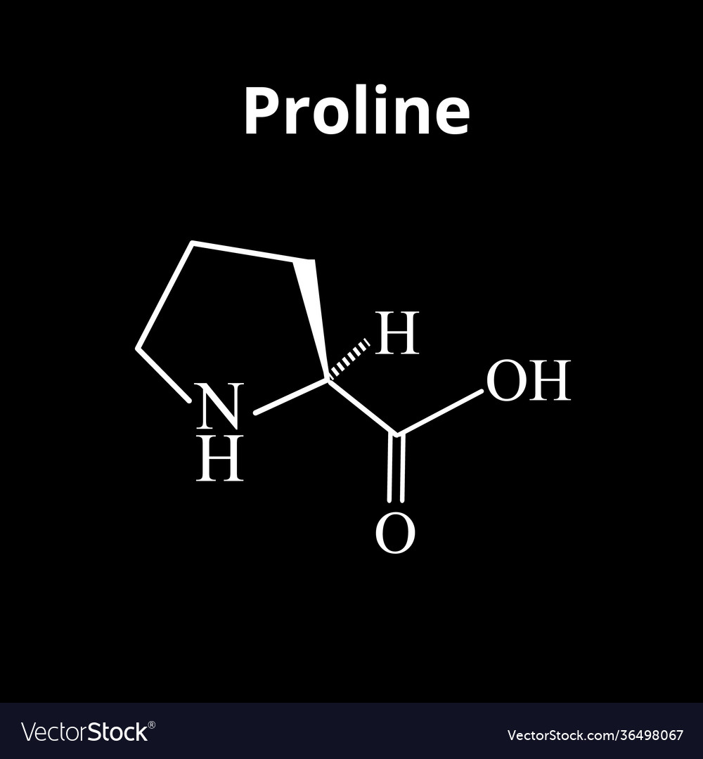Amino acid proline chemical molecular formula Vector Image