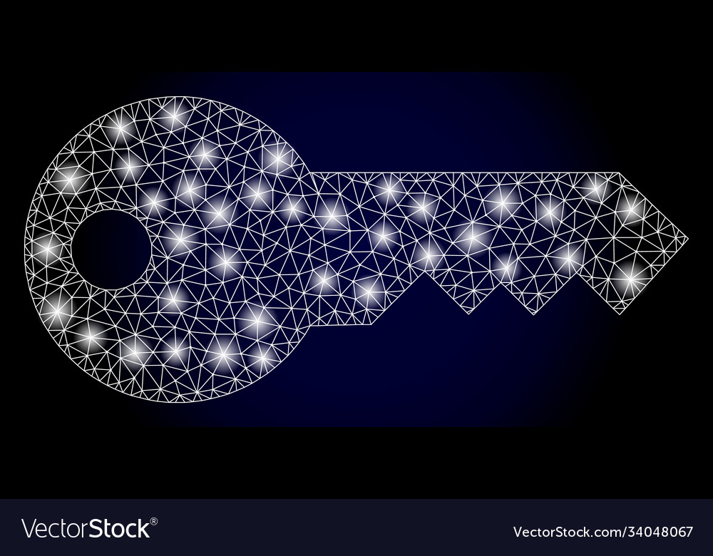 Bright web net key with light spots