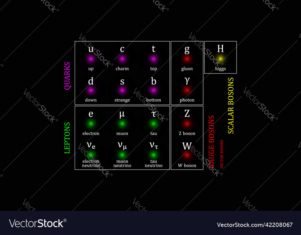 Elementary particle Royalty Free Vector Image - VectorStock