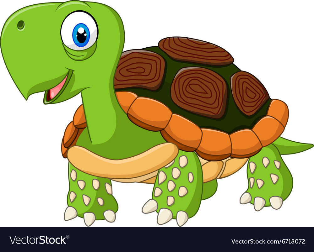 Cute baby turtle posing isolated Royalty Free Vector Image