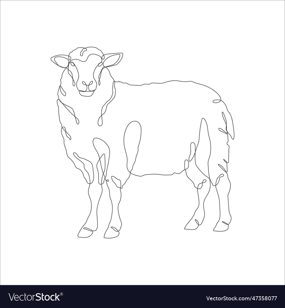 Sheep in one continuous line drawing