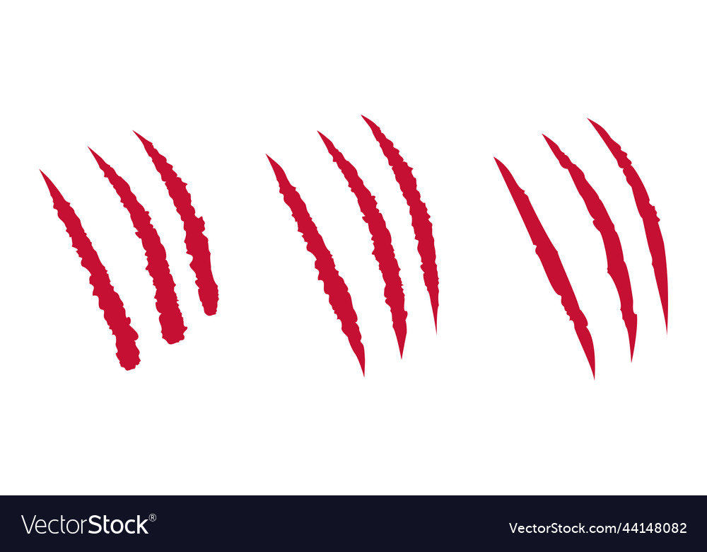 Cat blood scratch set mark of the three claws vector image Cat blood scratch set mark of the three claws