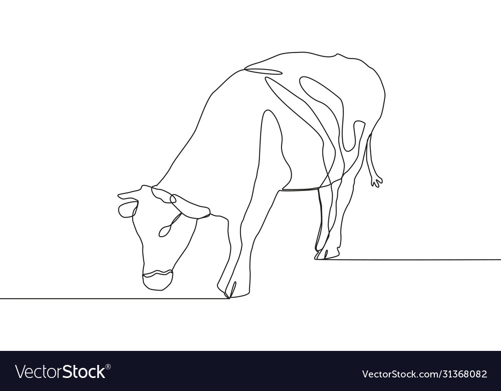 Continuous Line Cow Drawing