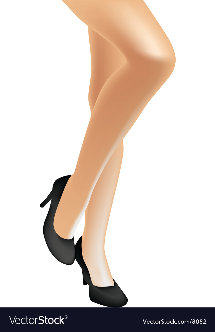 Sexy Legs Royalty Free Vector Image Vectorstock