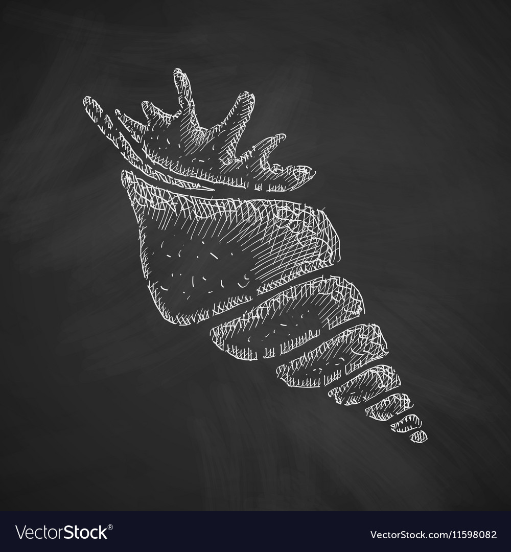 Shell icon