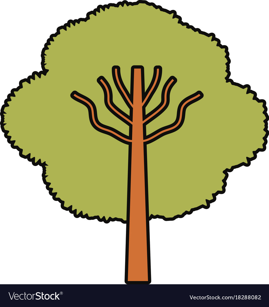 Tree icon image