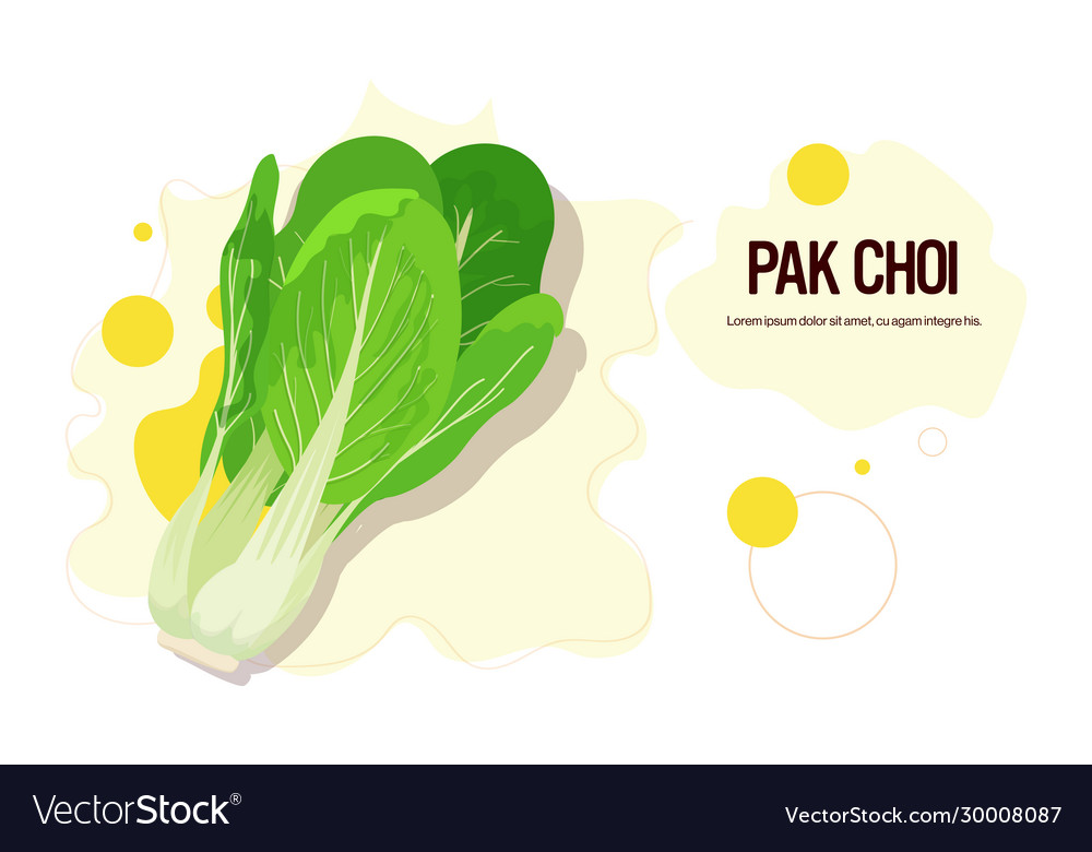 Fresh green pak choi sticker tasty vegetable icon