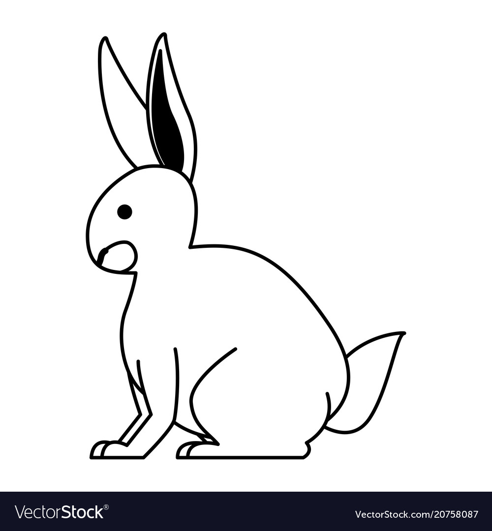 Rabbit wild animal on black and white Royalty Free Vector