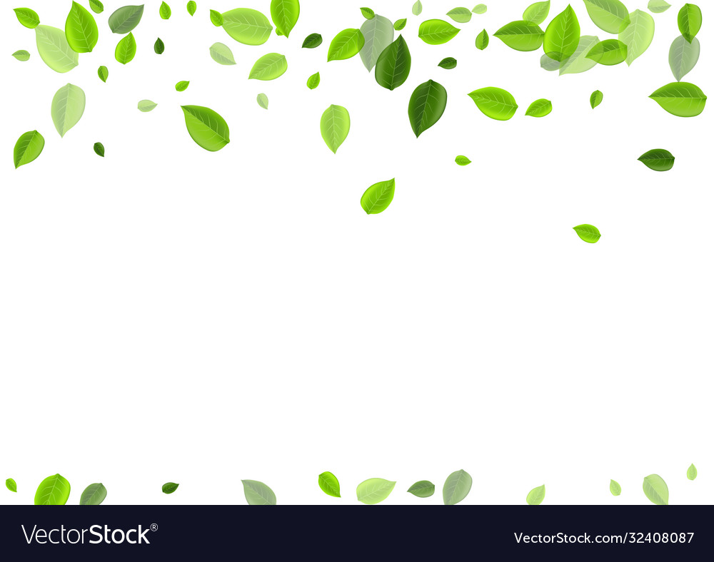 Swamp leaves ecology backdrop swirl leaf