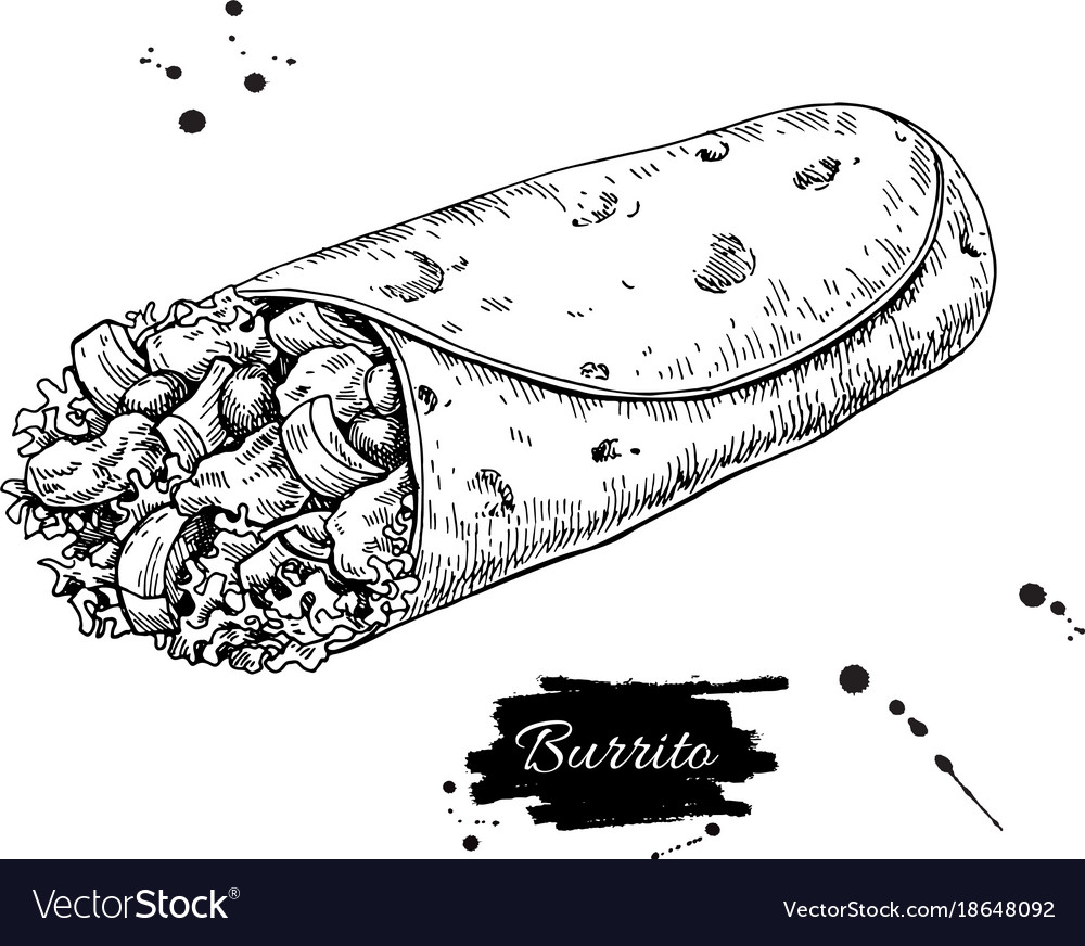 Burrito drawing traditional mexican food Vector Image