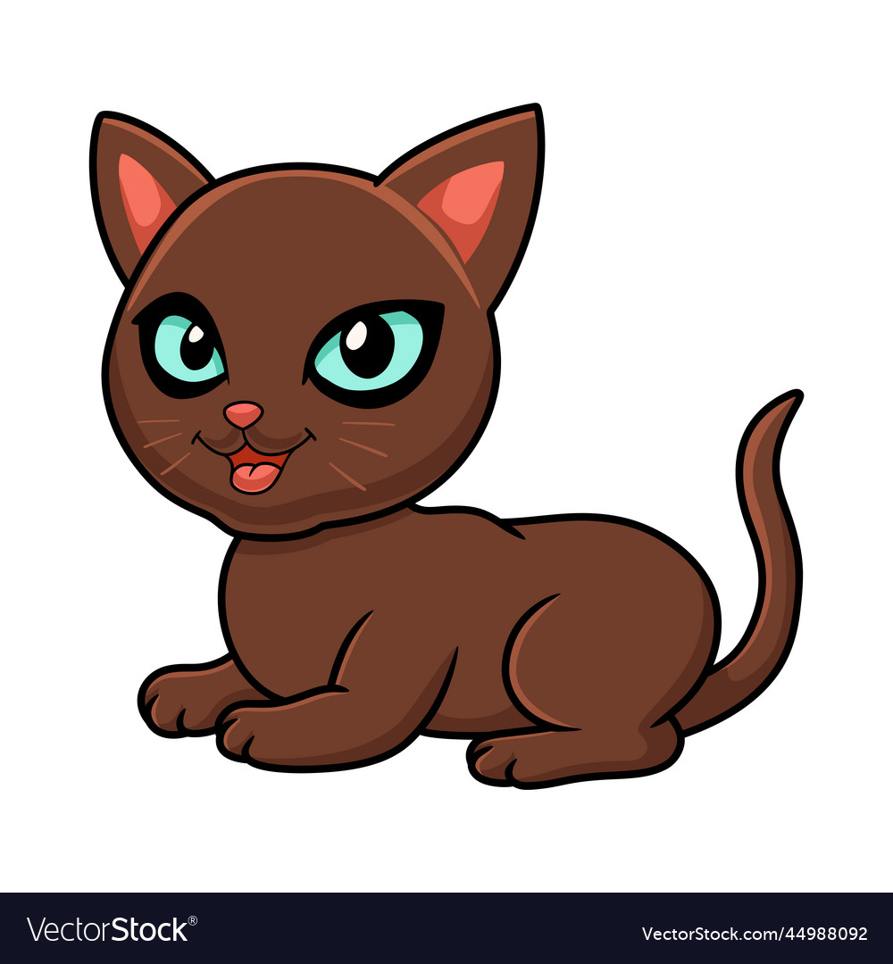 Cute havana brown cat cartoon Royalty Free Vector Image