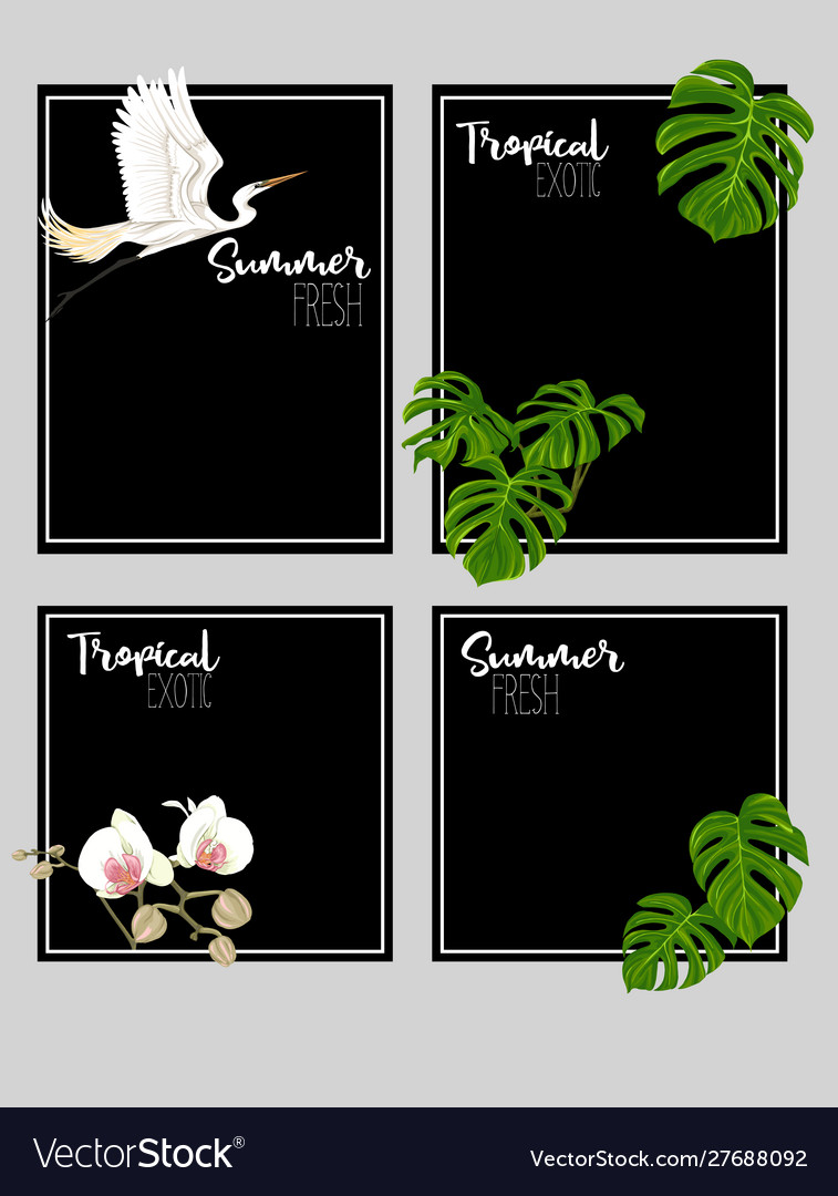 Set text boxes for bullet journal or notes vector image Set text boxes for bullet journal or notes