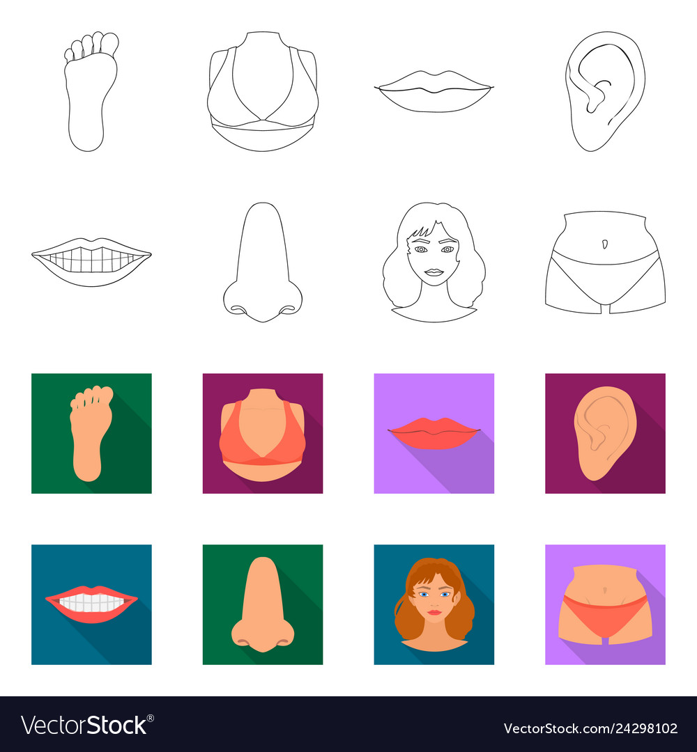 Design of body and part icon set vector image Design of body and part icon set