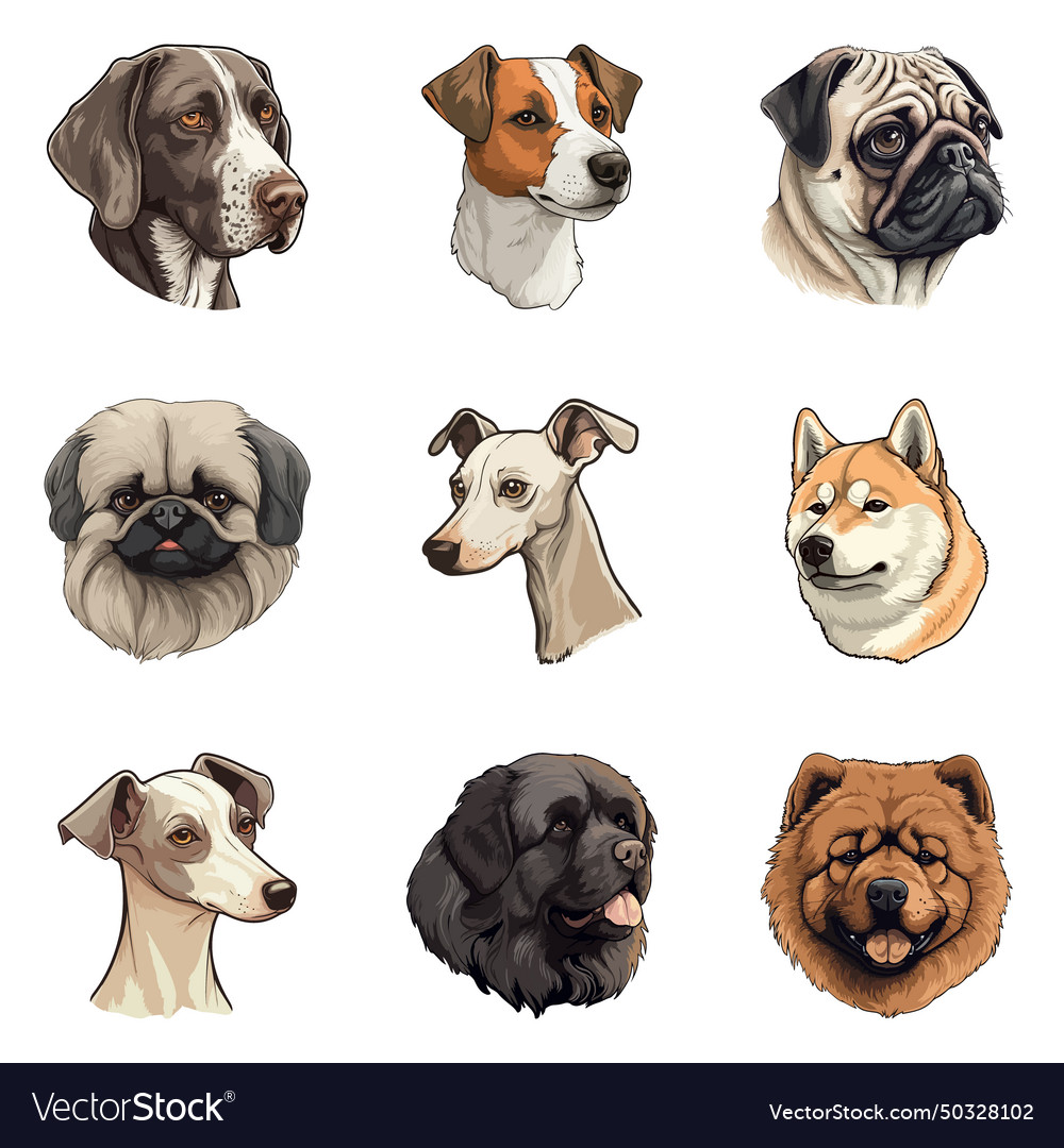 Dogs flat icon set isolated on white background Vector Image