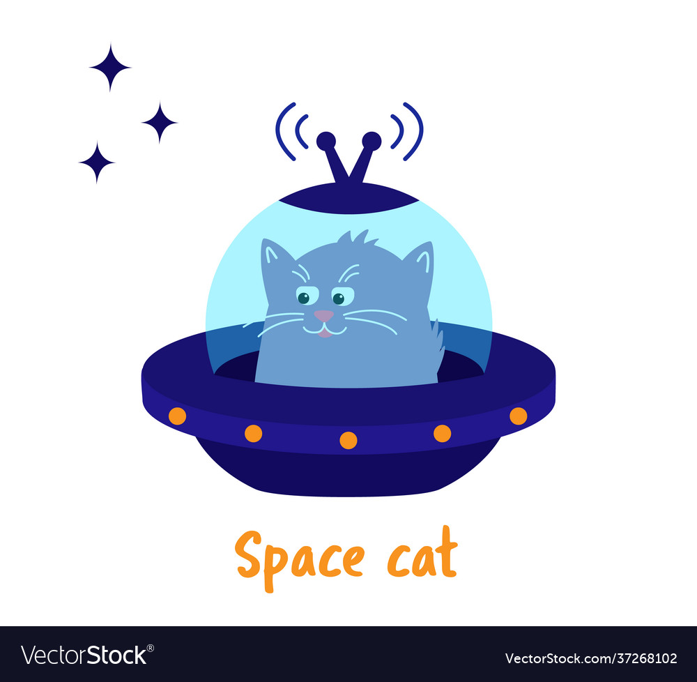 Space cat cute pet kitten is flying Royalty Free Vector