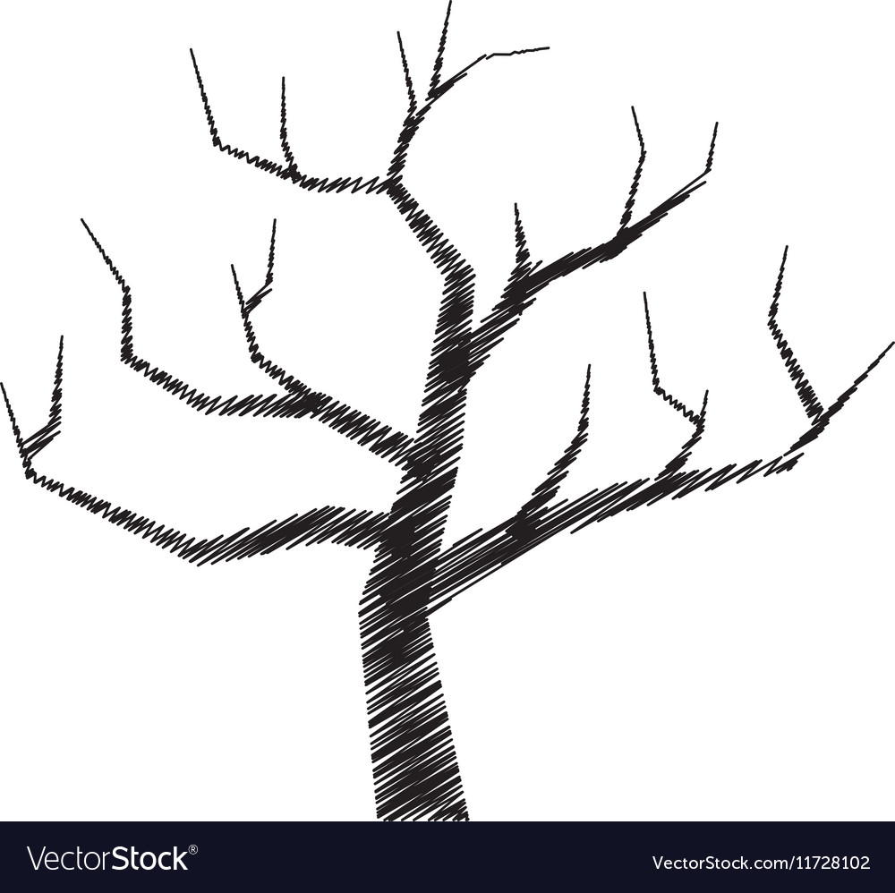 Cartoon Tree Drawing - How To Draw A Cartoon Tree Step By Step