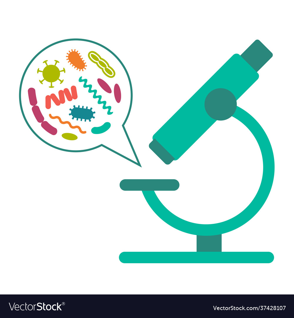 Bacteria and microorganisms with microscope Vector Image