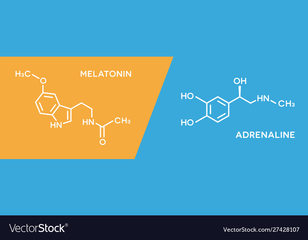 Melatonin and adrenaline hormone symbols human