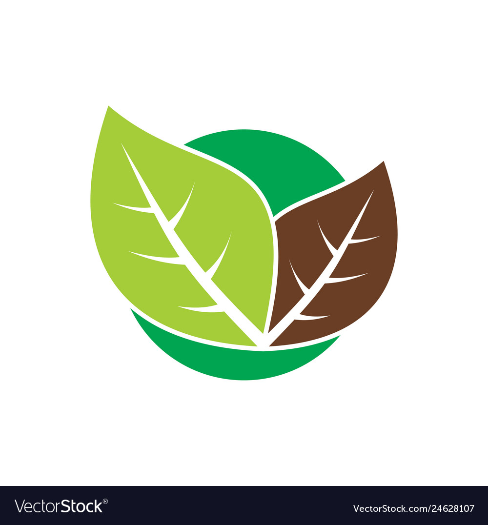 Nature related icon on background for graphic Vector Image