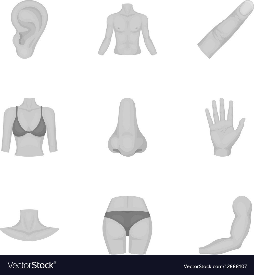 Teil des Body Set Icons im monochromen Stil groß