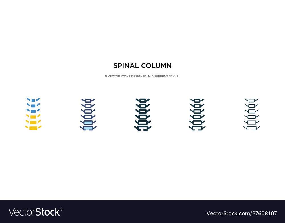 Spinal column icon in different style two