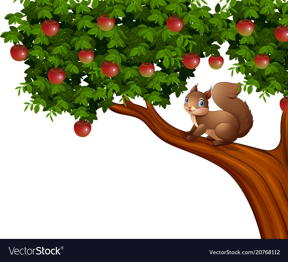 Cartoon Squirrel On Apple Tree Royalty Free Vector Image