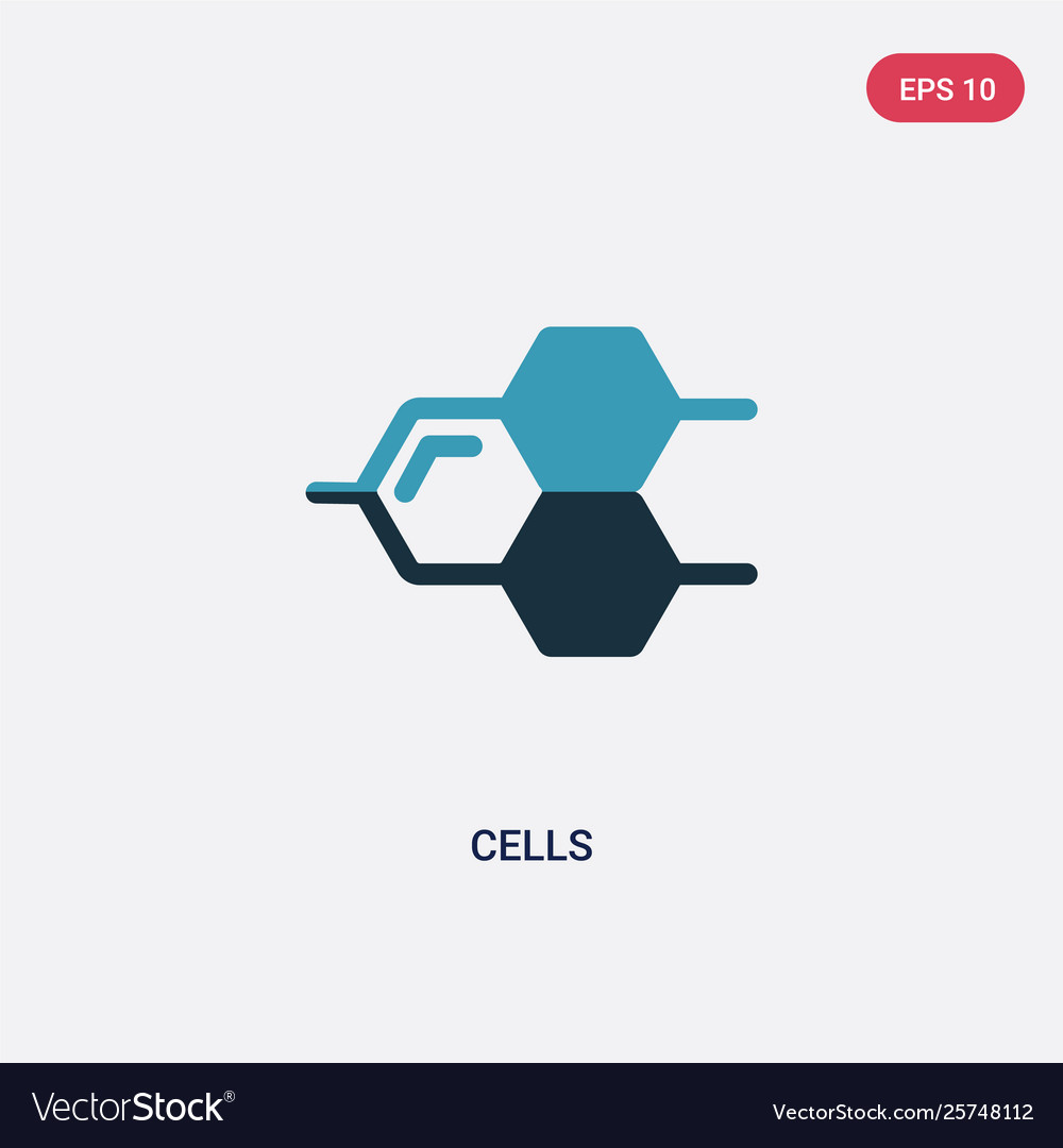 Two color cells icon from science concept vector image Two color cells icon from science concept