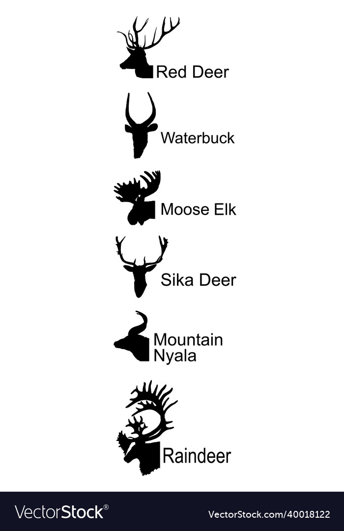 Deer head collection silhouette